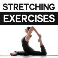 Stretching Exercises on 9Apps