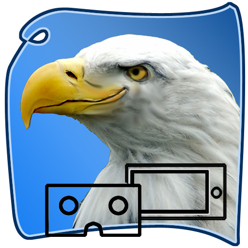 eagle SURVIVAL vr SIM icon