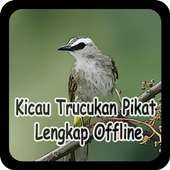 Kicau Trucukan Pikat Lengkap Offline on 9Apps