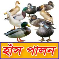 হাঁস পালন সঠিক পদ্ধতি - Duck Farming on 9Apps