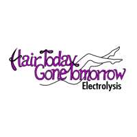 Hair Today Gone Tomorrow on 9Apps