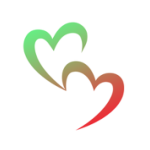 SD FEVER иконка