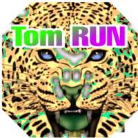 Tom Runner