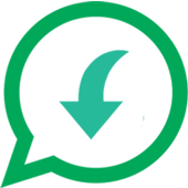 Story Saver pro for Whatsapp icon