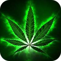 Weed Wallpaper on 9Apps