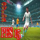 GUIDE PES 15