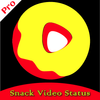 Snack Video: short video status Video Conference icon