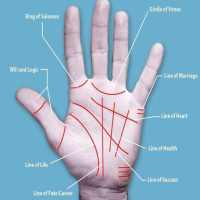Palm reading  (Guide) on 9Apps