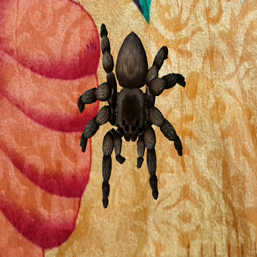 AR - Spider Phobia Therapy Augmented Reality icon