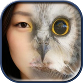 Animal Face Changer icon