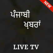 Punjabi News Live TV - All Punjabi News Papers icon
