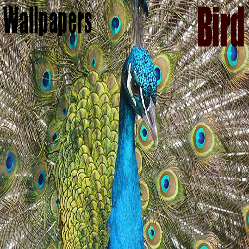 Bird Wallpapers Photos icon