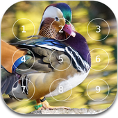 Bird password Lock Screen icon