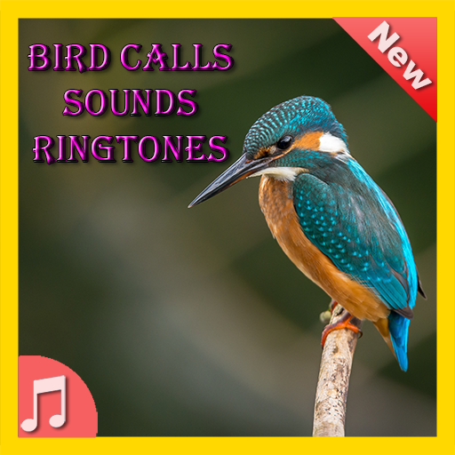 Bird Calls Sounds Ringtones icon