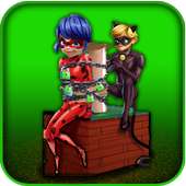 Cat Noir Saving Ladybug