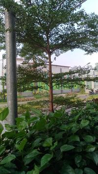 LOCKED OUT OF HEAVEN screenshot 2