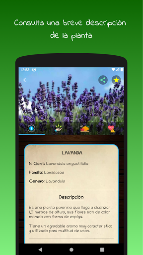 myRemedy: Plantas medicinales y sus usos screenshot 4