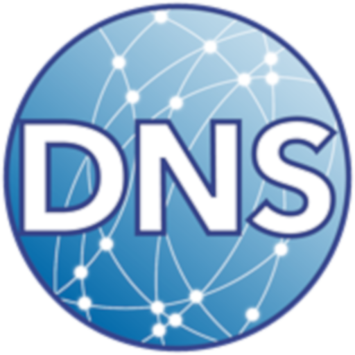 DNS Client for Android icon