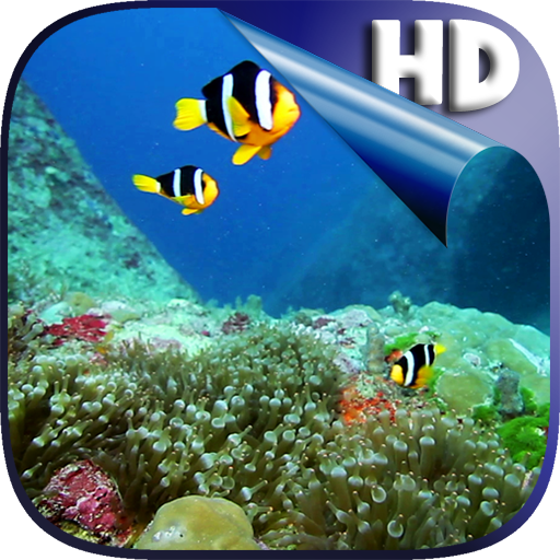 ikon Colorful Fishes Live Wallpaper