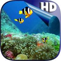 Colorful Fishes Live Wallpaper on 9Apps