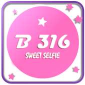 B316 - Sweet Selfie Candy Cam