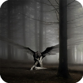 Fallen Angel Live Wallpaper icon