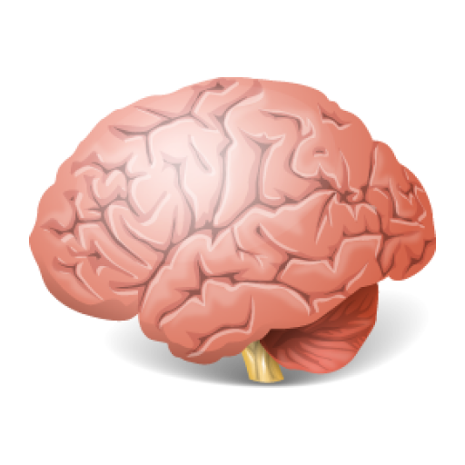 Brain Wars Left vs Right icon