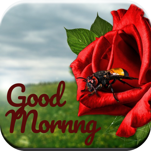 Daily Blessing -Good Morning 2021 icon