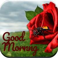 Daily Blessing -Good Morning 2021 on 9Apps