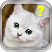 Cat assistant simulator icon