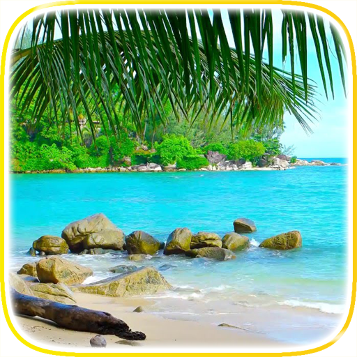 Tropical Beach Video Wallpaper icon