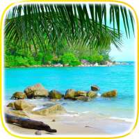 Tropical Beach Video Wallpaper