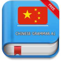 Learn Chinese: Grammar A1 on 9Apps