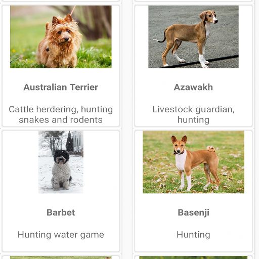 Different Breeds of Dogs icon