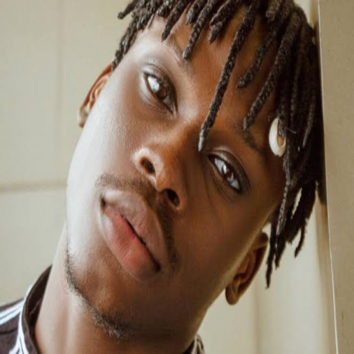 Fireboy music and songs offline icon