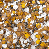 Leaves Wallpapers icon