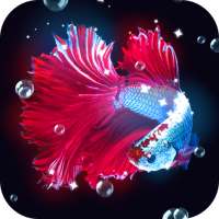 Tropical Fish Live Wallpaper