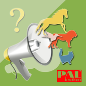 ikon Sound Guessing Games