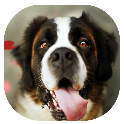 Bark Translator : How to understand your dog icon