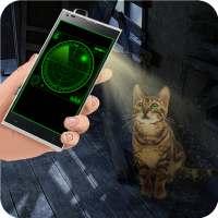 Find Cat in House Horror