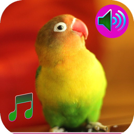 Birds Sound Ringtone icon