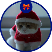 Cat Jigsaw Puzzles Free icon