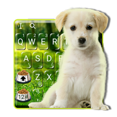 Innocent Cute Puppy Keyboard Theme icon