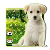 Innocent Cute Puppy Keyboard Theme on 9Apps
