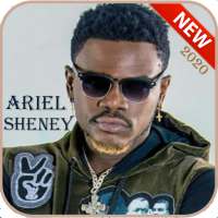 Ariel Sheney MP3 2020 - Without Internet