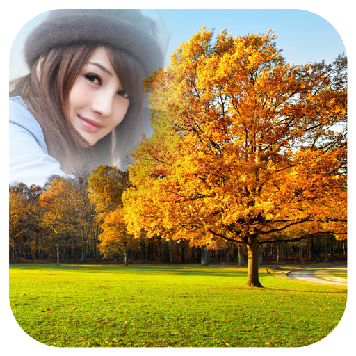 ikon Forest Photo Frames