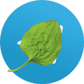 Telegram Unblock. Разблокировка Телеграм, прокси. icon