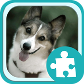 Dog Jigsaw Puzzles icon