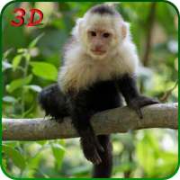 Monkey Simulator 3D on 9Apps