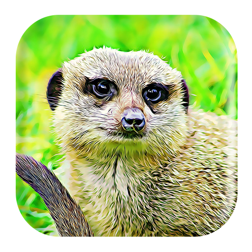 Mongoose Sounds icon